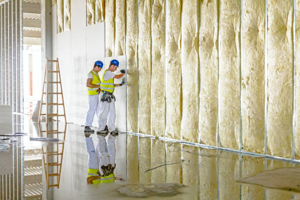 Best Types of Insulation in Tyrone, GA